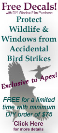 bird-strike-button-4.jpg