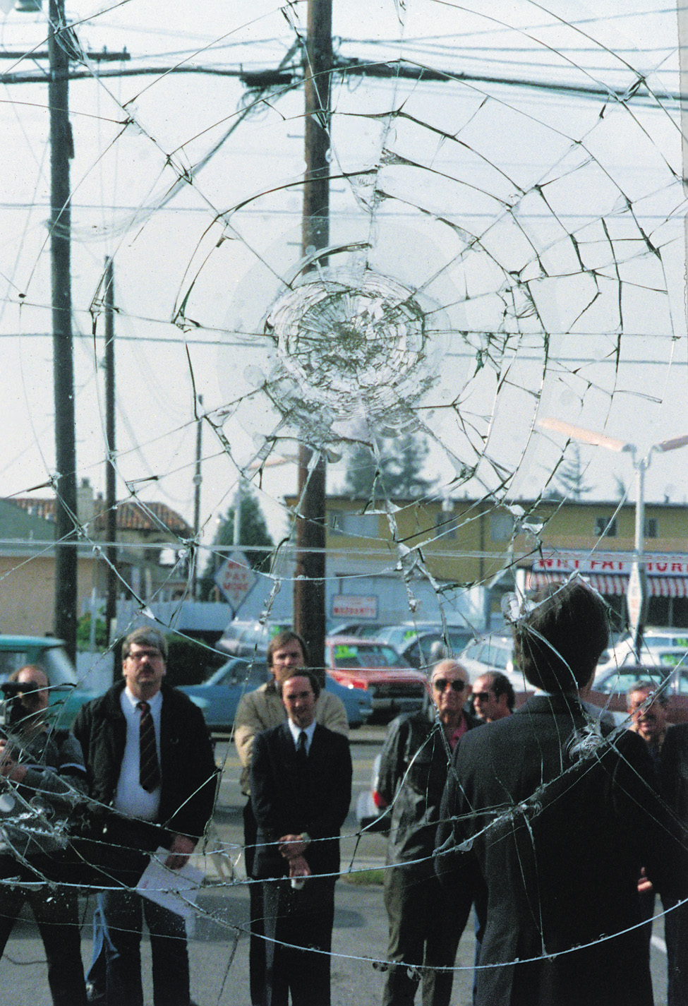 Toronto safety window films image